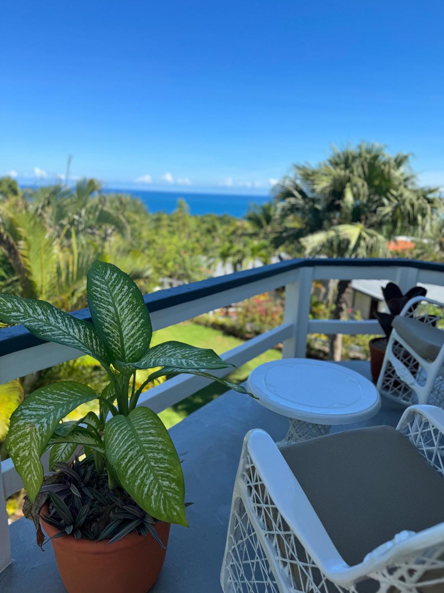 Catalina, Cabrera Oceanview Multi 2 Bd 2 Bath Condo Units With Balcony And Pool Esterno foto